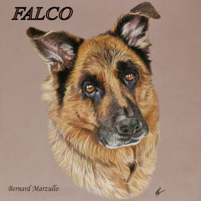 Falco