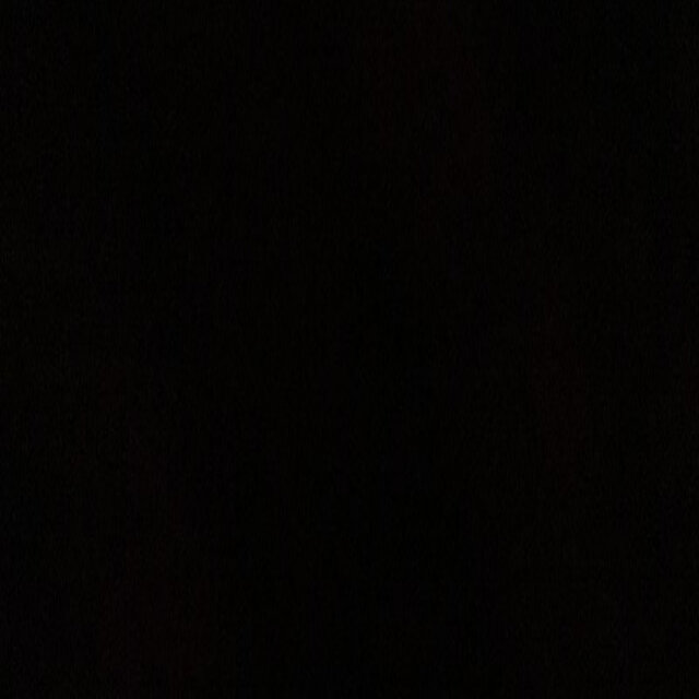 Trippin