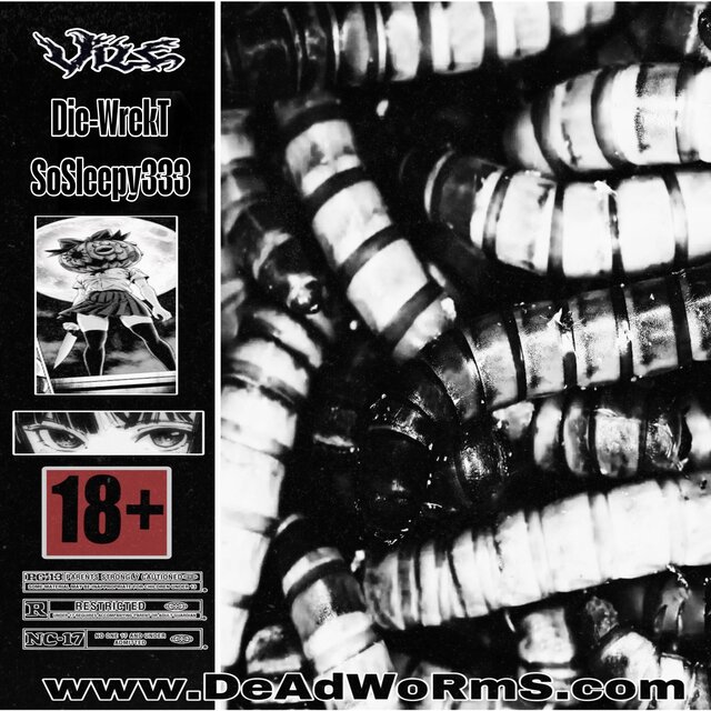 www.DeAdWoRmS.com (feat. Die-WrekT & SoSleepy333)