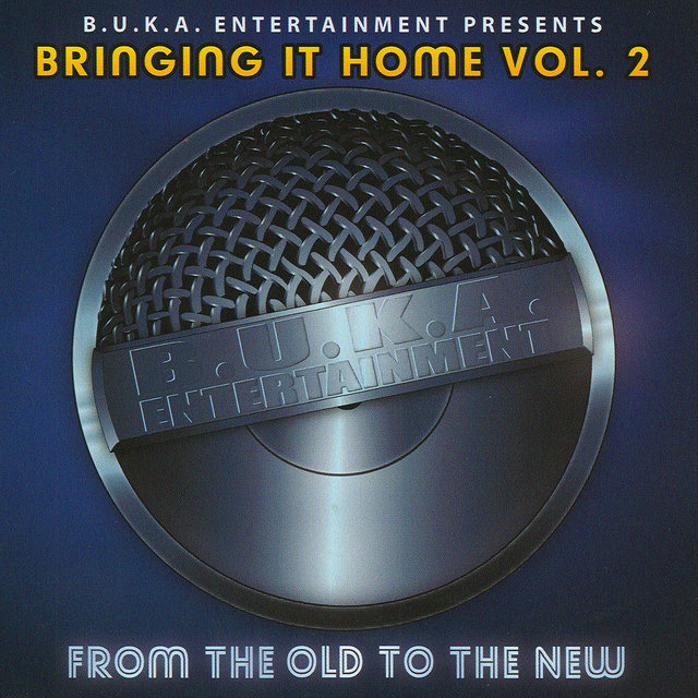 Bringing It Home Vol. 2