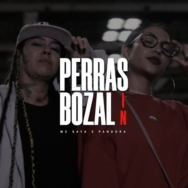 Perras Sin Bozal