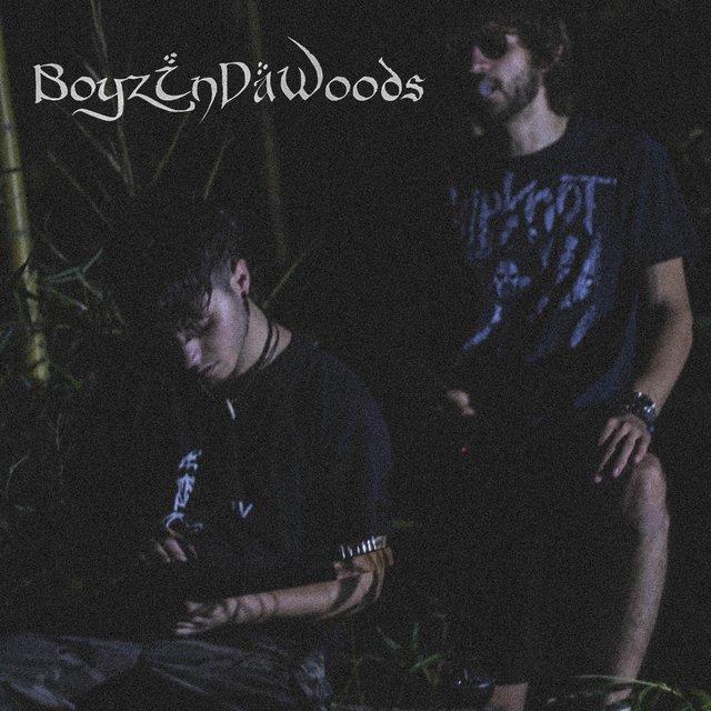 Boyz In Da Woods