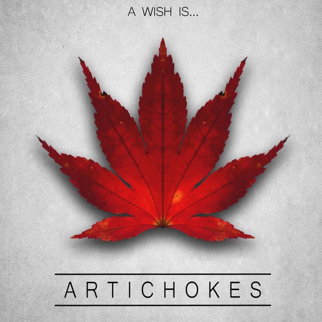 A Wish Is...