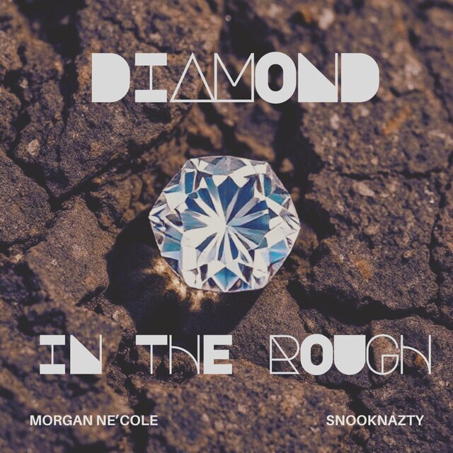 Diamond In The Rough (feat. SnookNazty)