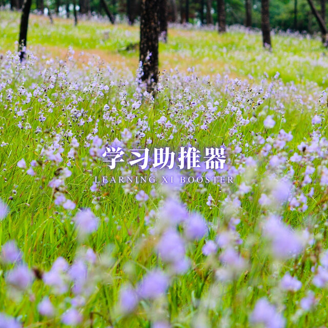 学习助推器