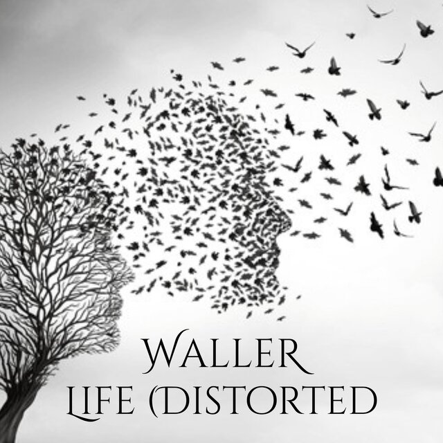 Life (Distorted)
