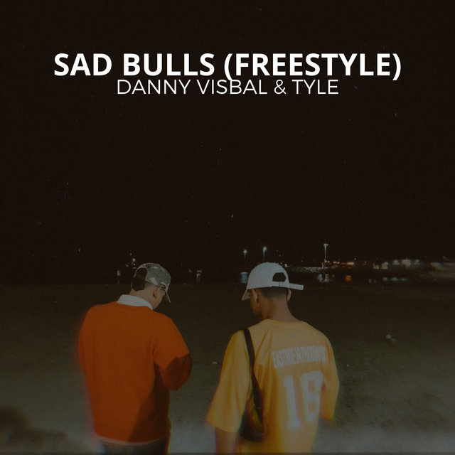 Sad Bulls (Freestyle)