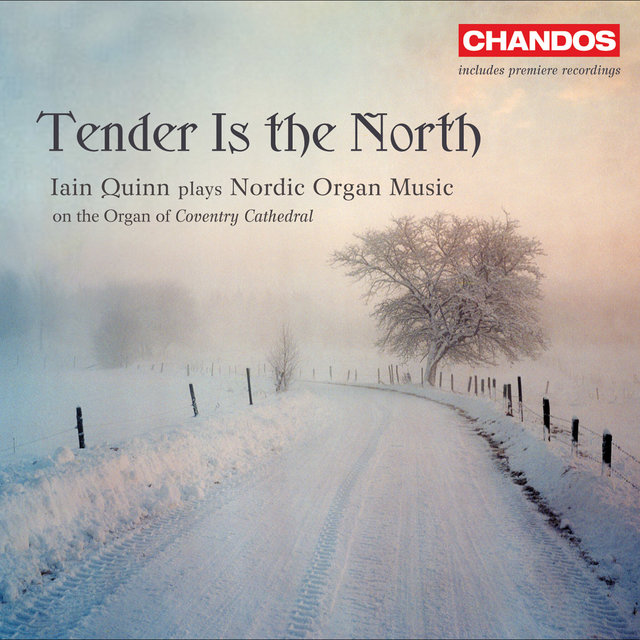 Tender is the North