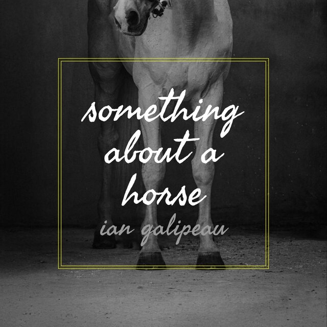 Something About A Horse