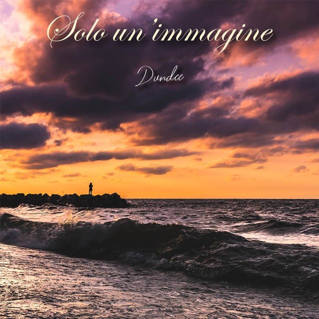 Solo un'immagine