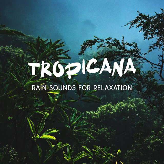 Sounds of Nature: Focus and Meditation