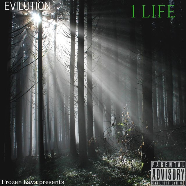 1 Life