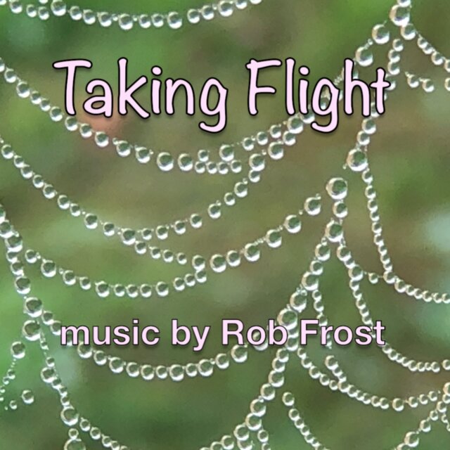 Taking Flight