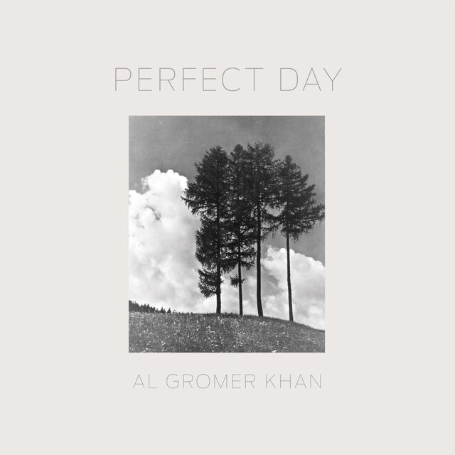 Perfect Day