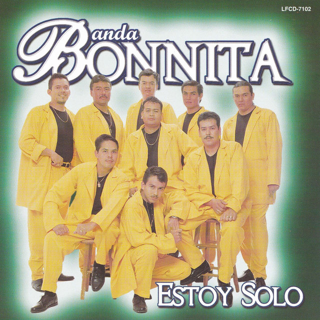 Estoy Solo