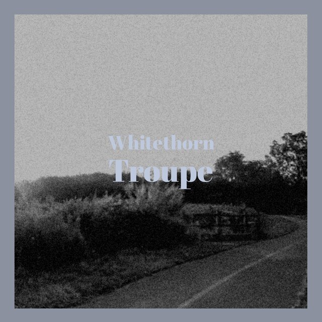 Whitethorn Troupe