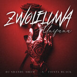 DJ SHANDU SKEEM & FIESTA BLACK - ZWOLELUWA UNIFUNA
