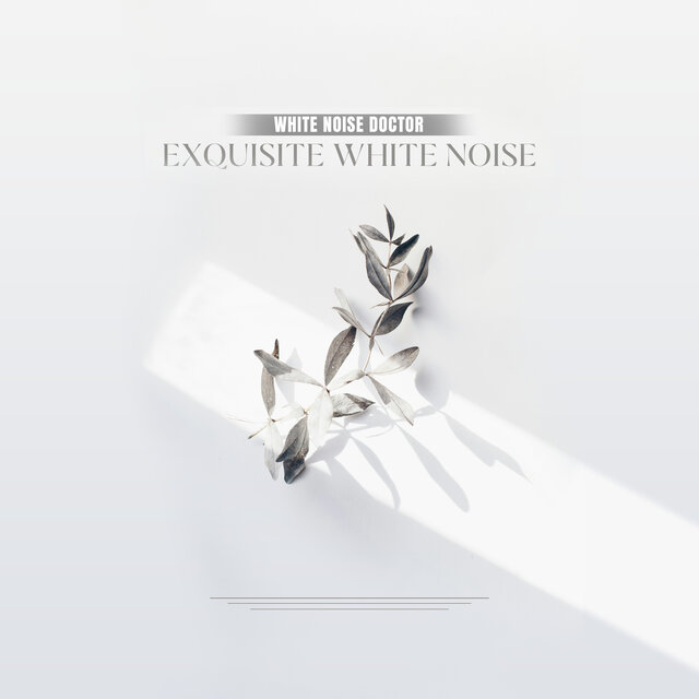 Exquisite White Noise