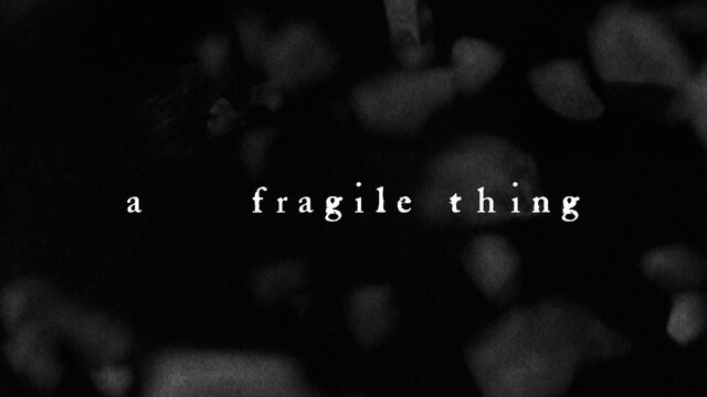 A Fragile Thing