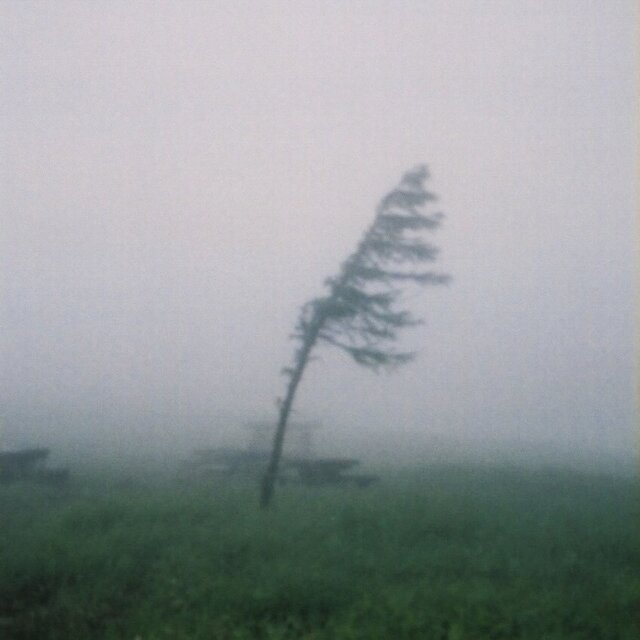 reminiscence
