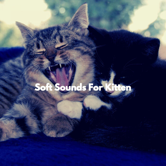 Soft Sounds For Kitten