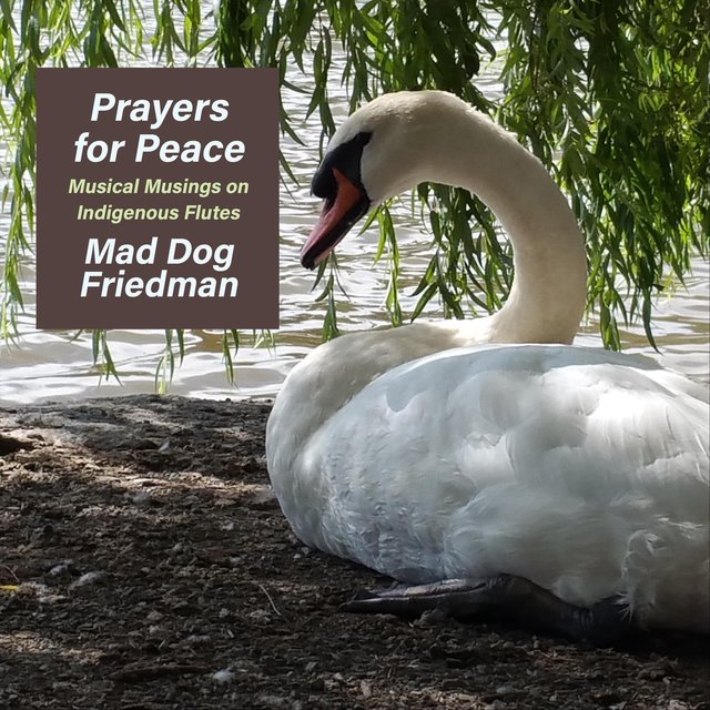 Prayers for Peace