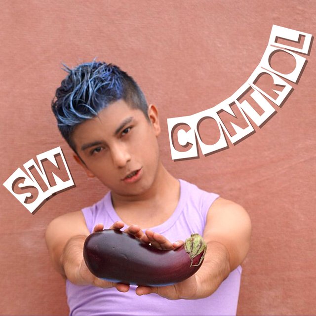 Sin Control