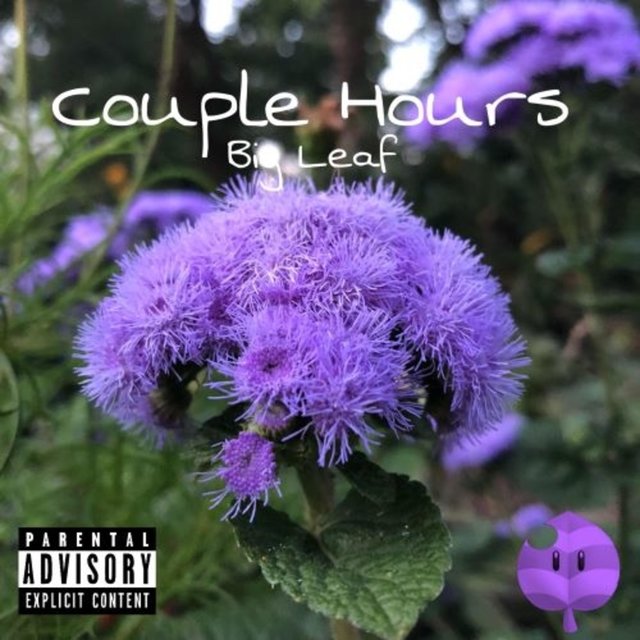 Couple Hours