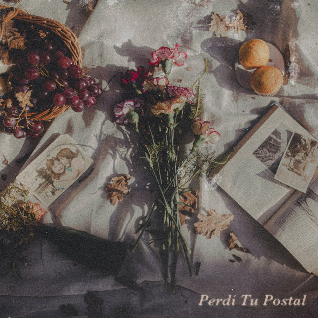 Perdí Tu Postal