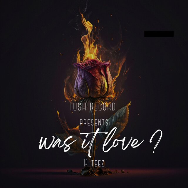 WAS IT LOVE ?