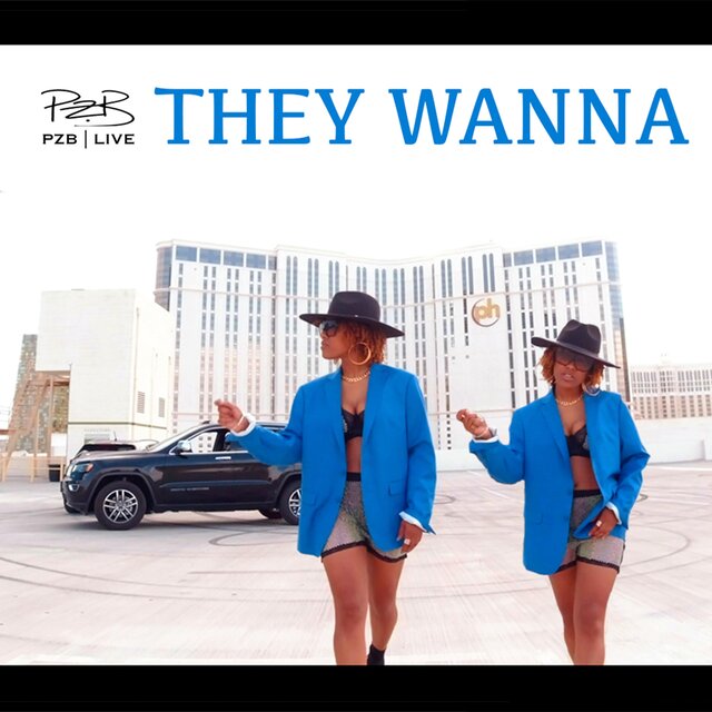 Cover art for album They Wanna by PZB