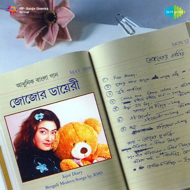 Jojor Diary