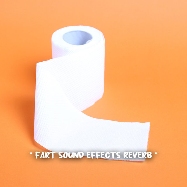 * fart sound effects reverb *