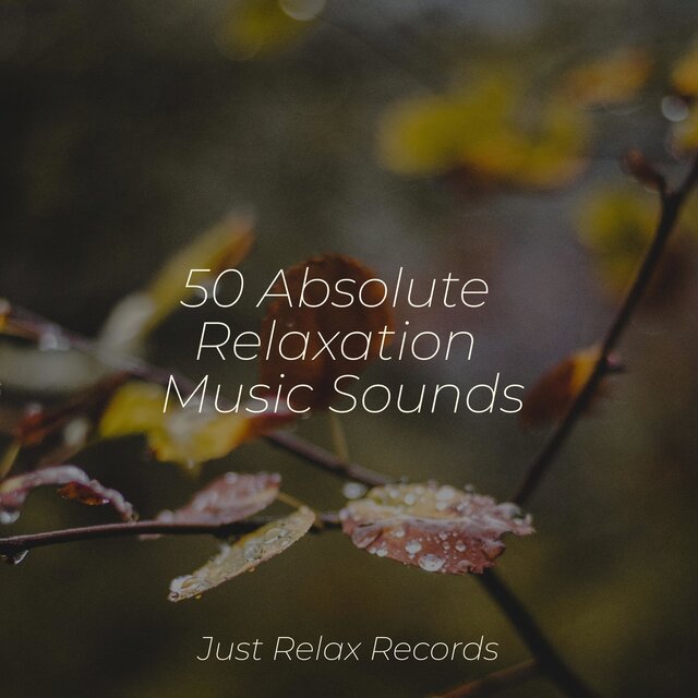 50 Absolute Relaxation Music Sounds