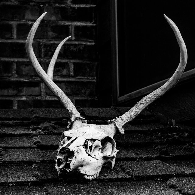 The Witching Hour: 45 Scariest Sounds for the Ultimate Spook Party