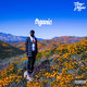 Cover art for album Organic by Casey Veggies