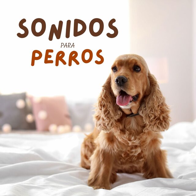 Sonidos para Perros: Música de Ayuda a la Relajación para Perros Ansiosos