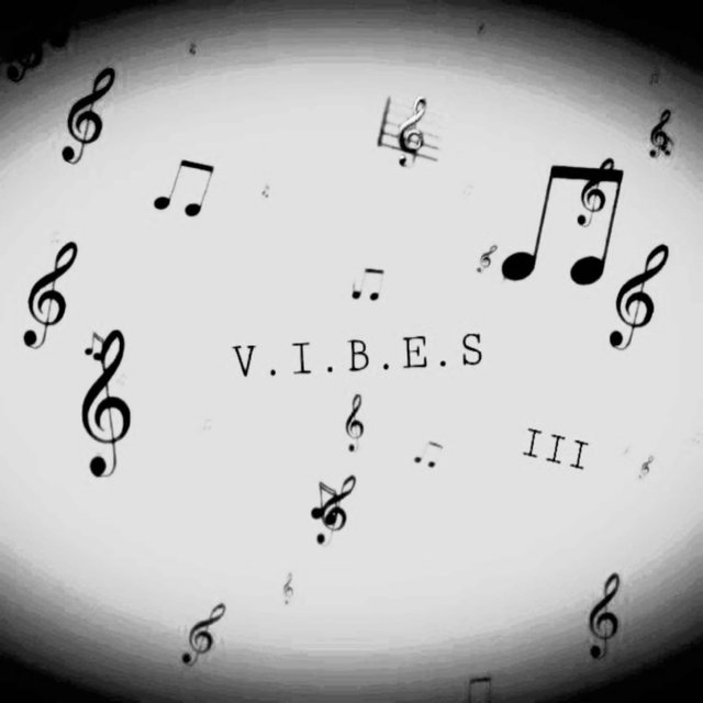 V.I.B.E.S III