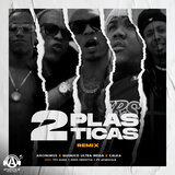 2 Plasticas