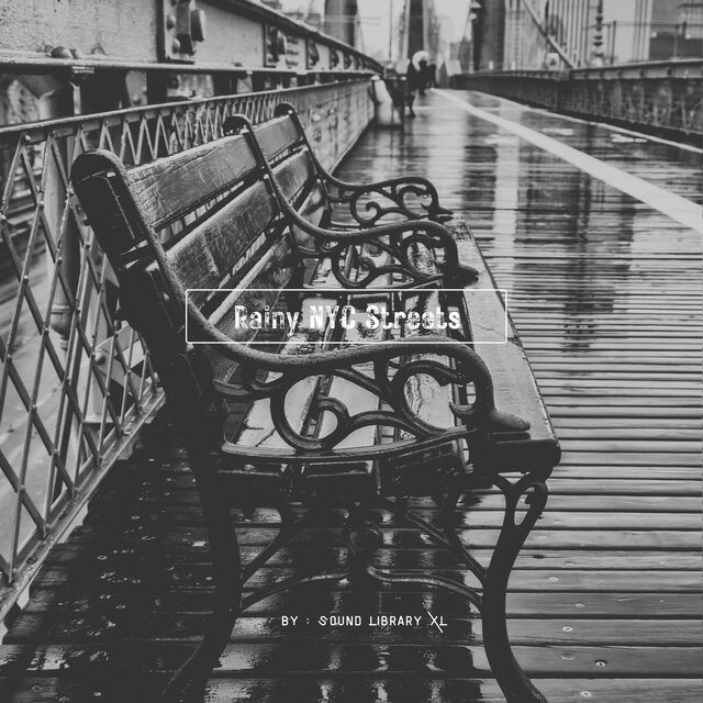 Rainy NYC Streets