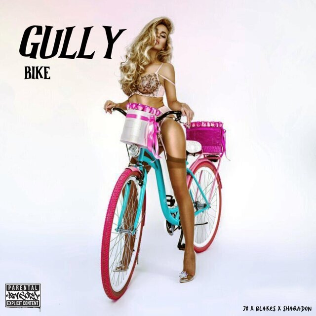 Gully Bike