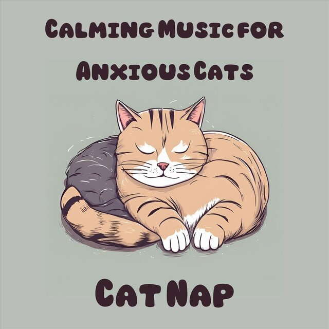Calming Music for Anxious Cats