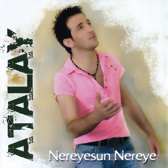 Nereyesun Nereye