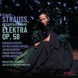 Elektra, Op. 58, TrV 223: Was willst du? Seht doch, dort! (Clytemnestra, Elektra, Confidante)
