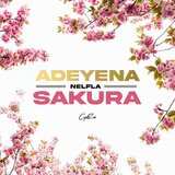 SAKURA ❀