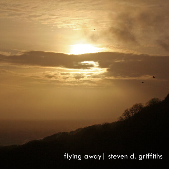 Flying Away