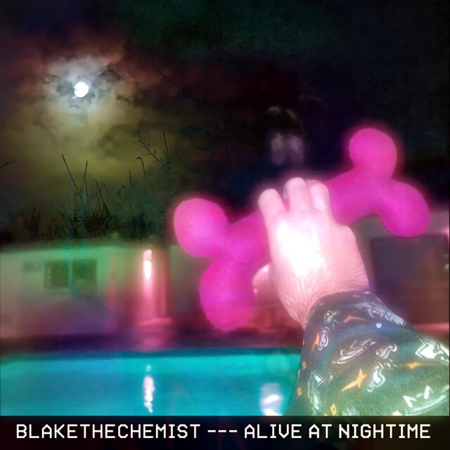 Alive at Nightime