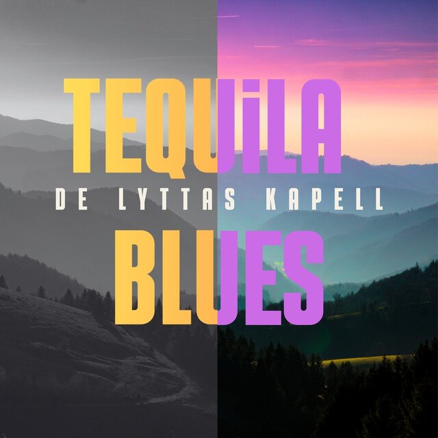 Cover art for album  by De Lyttas Kapell