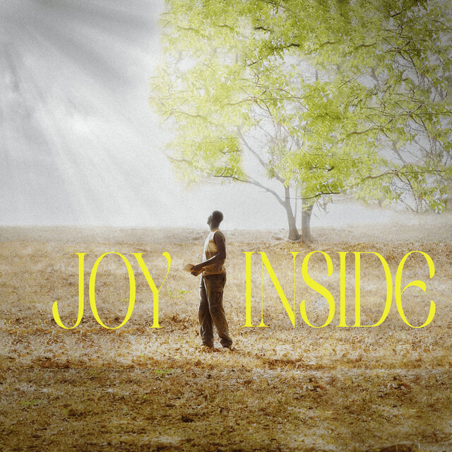 Joy Inside