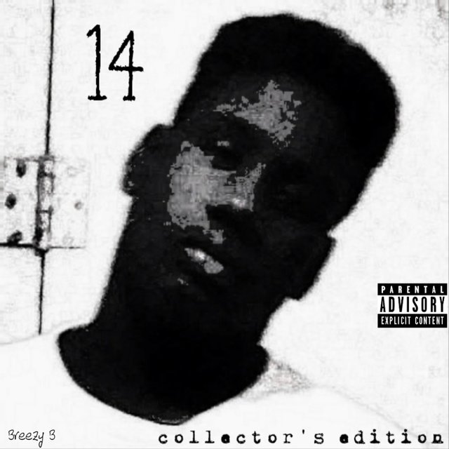 14 Collectors Edition